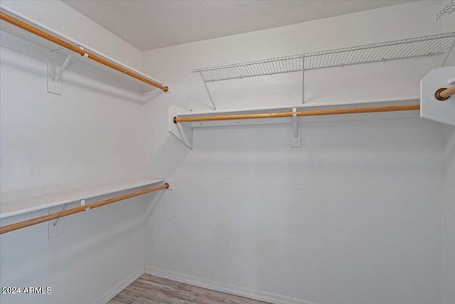 walk in closet with light hardwood / wood-style floors