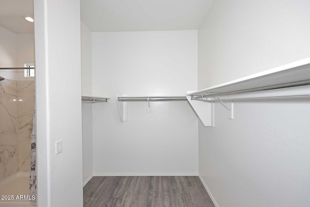 walk in closet featuring wood finished floors