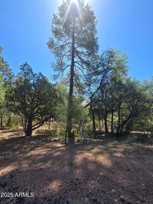 2511 E Pine Island Ln Unit 39, Payson, AZ 85541