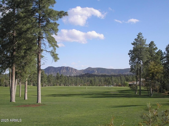 2511 E Pine Island Ln Unit 39, Payson, AZ 85541