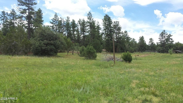 5449 Pride Ln Unit 061, Pinedale AZ, 85934 land for sale