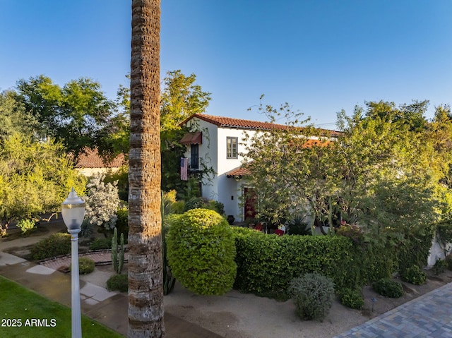 view of front of property with a tile roof and stucco siding