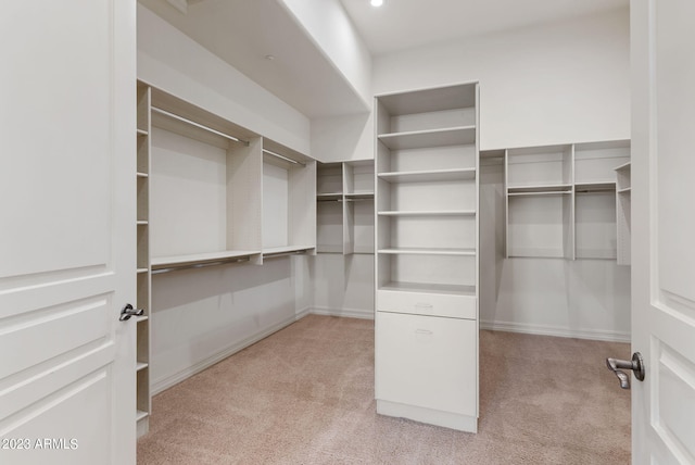 22463 N 54th St, Phoenix, AZ 85054 - spacious closet featuring light colored carpet