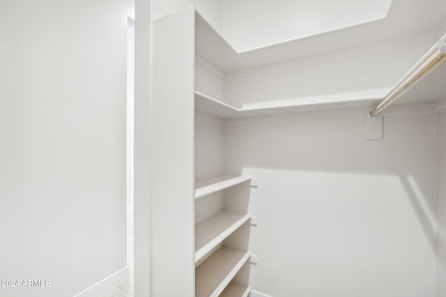 view of walk in closet