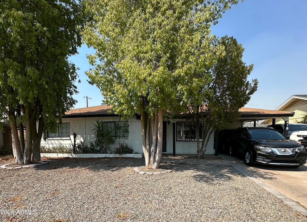 view of property hidden behind natural elements featuring a carport