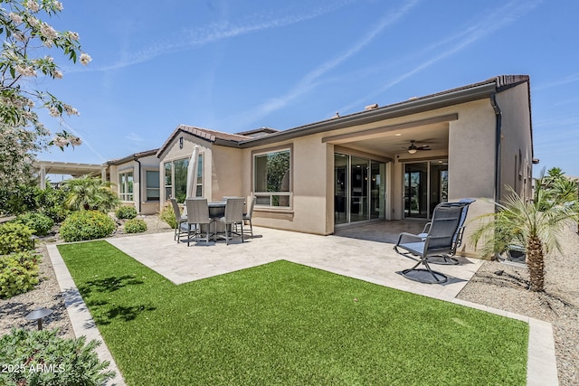 841 E Farmers Ln, Queen Creek, AZ 85140 - back of house featuring stucco siding, a patio area, a yard, and a ceiling fan