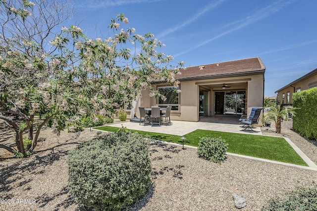 841 E Farmers Ln, Queen Creek, AZ 85140 - rear view of property with a patio and stucco siding