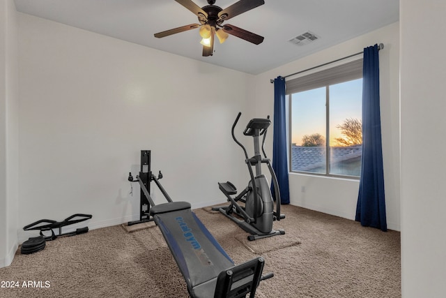 exercise area with ceiling fan and carpet floors