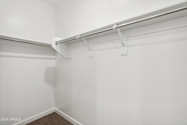 spacious closet featuring carpet floors