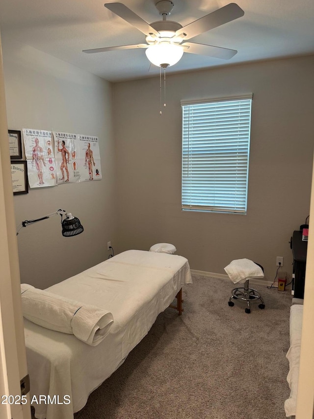 15301 W Moreland St, Goodyear, AZ 85338 - carpeted bedroom with a ceiling fan