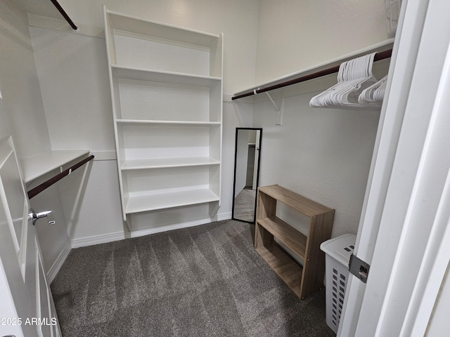 9137 W Sells Dr, Phoenix, AZ 85037 - spacious closet with dark colored carpet