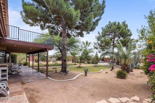 view of yard with a patio