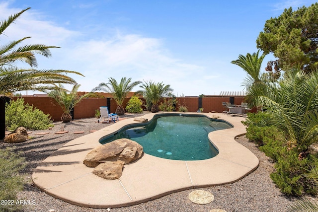 view of swimming pool featuring a patio