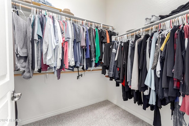 spacious closet with carpet floors