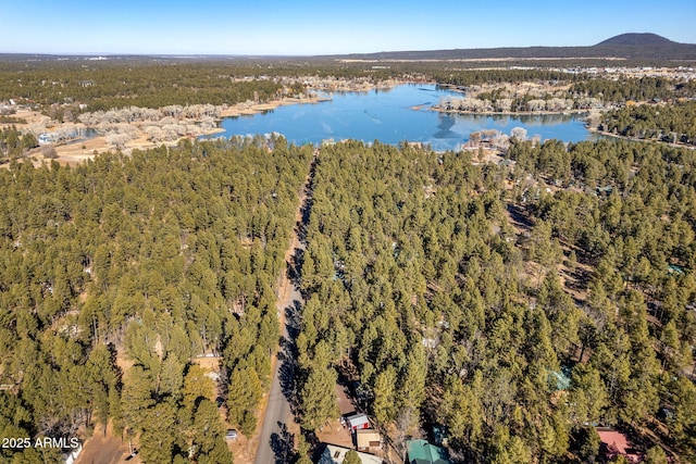 birds eye view of property featuring a water and mountain view