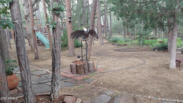 view of yard featuring a playground