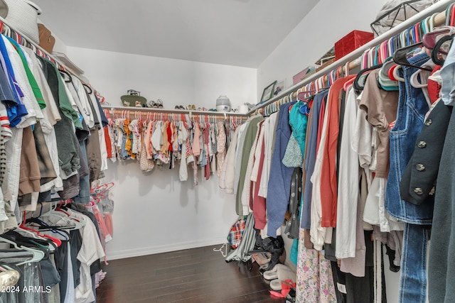 spacious closet featuring dark hardwood / wood-style floors