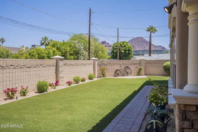 3812 E Camelback Rd, Phoenix, AZ 85018 - view of yard