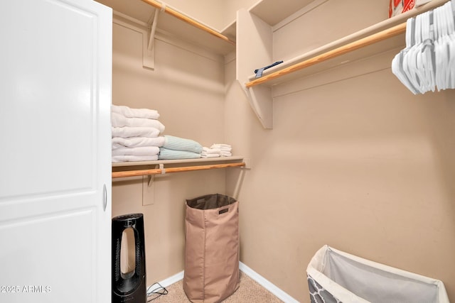 3335 W Carriage Dr, Phoenix, AZ 85086 - spacious closet with carpet