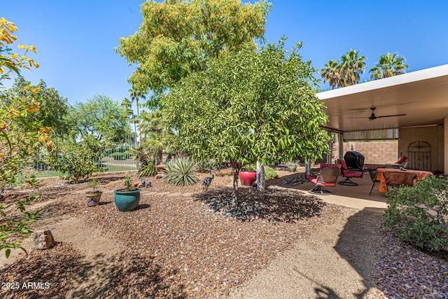 14819 W Lupine Ln, Surprise, AZ 85374 - view of yard with ceiling fan and a patio