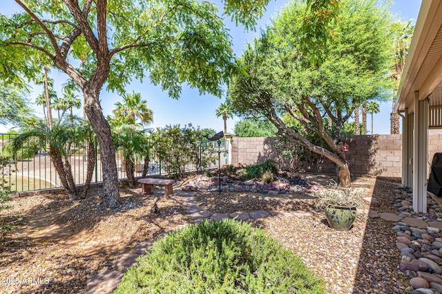 14819 W Lupine Ln, Surprise, AZ 85374 - view of fenced backyard