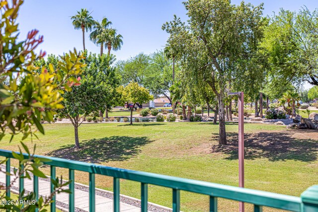14819 W Lupine Ln, Surprise, AZ 85374 - view of green lawn