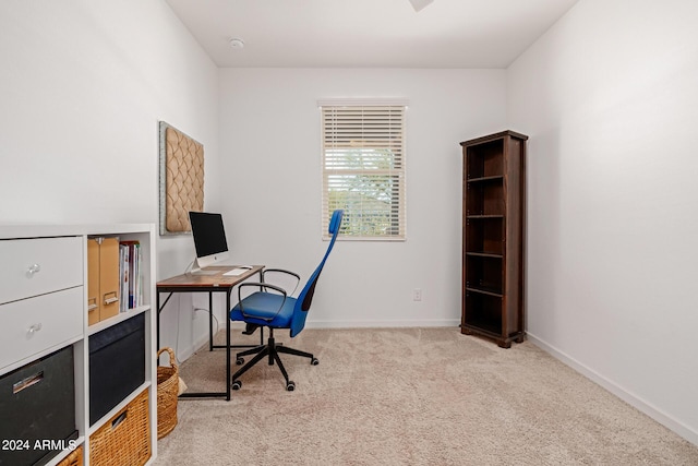 office space featuring carpet floors and baseboards