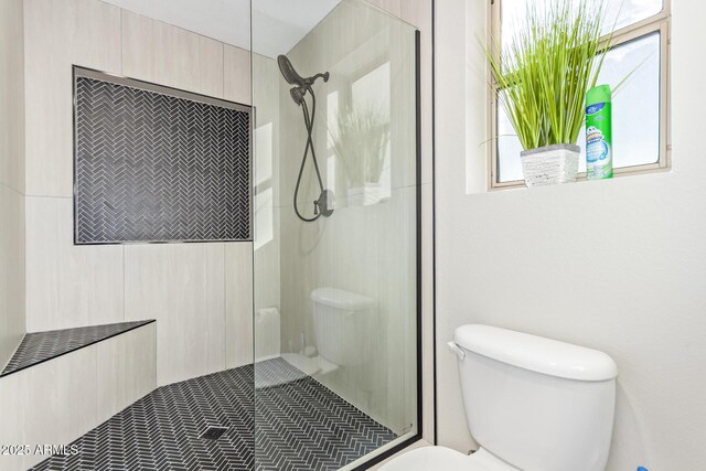 bathroom with a stall shower and toilet