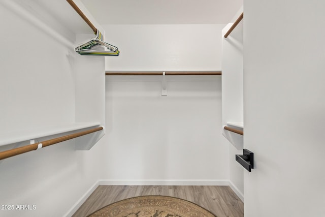 walk in closet with light wood finished floors