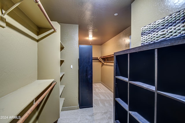 spacious closet with light carpet