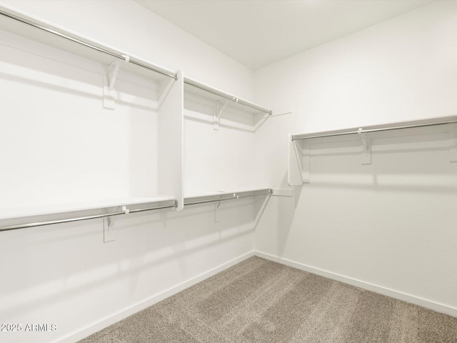 spacious closet with carpet