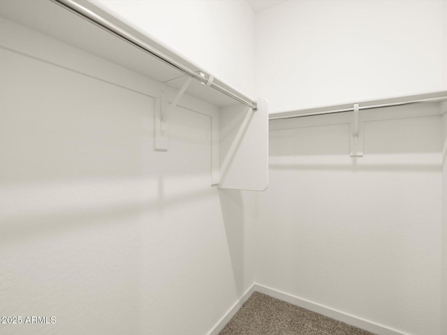 walk in closet featuring carpet flooring