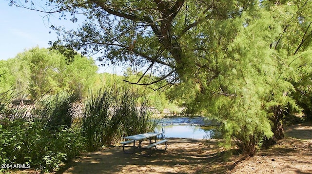 view of property's community with a water view