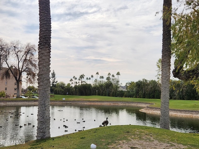 view of water feature