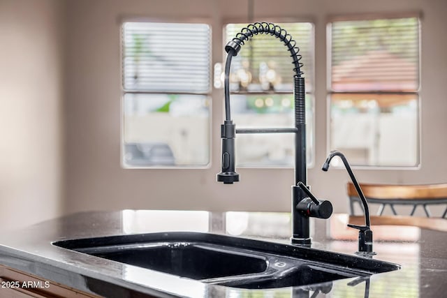 room details with a sink