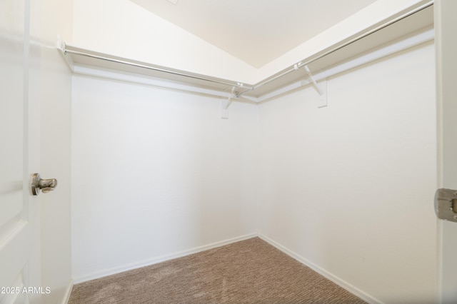 5749 S 21st Ter, Phoenix, AZ 85040 - spacious closet with carpet