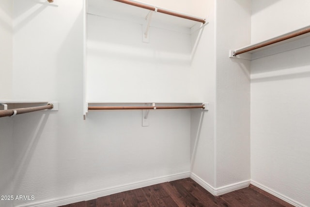 walk in closet featuring dark wood-style flooring