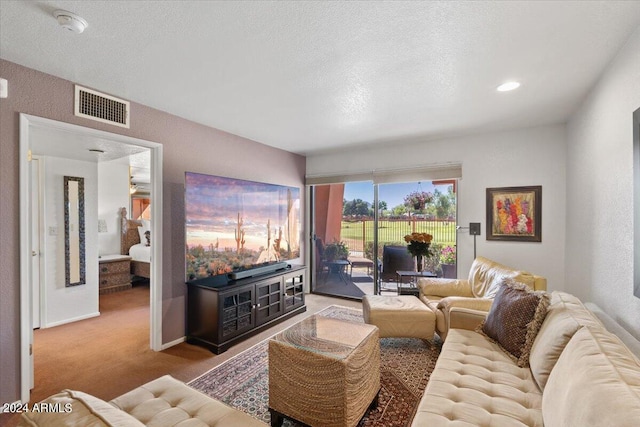 carpeted living room with a textured ceiling