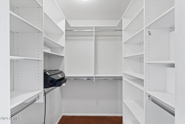 walk in closet with carpet floors