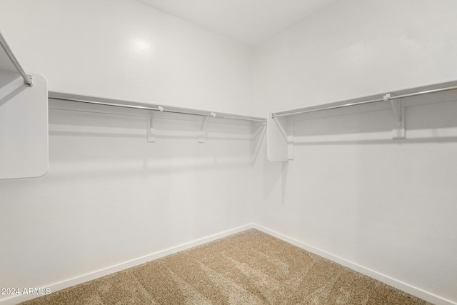 walk in closet featuring carpet