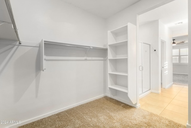 spacious closet featuring carpet floors