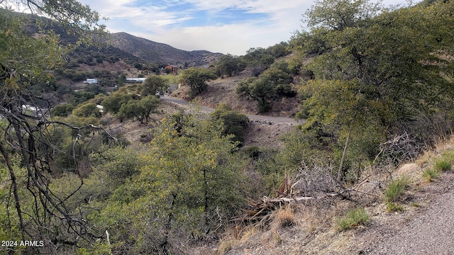 Listing photo 2 for 3LOTS Adams Ave Unit 150-152, Bisbee AZ 85603