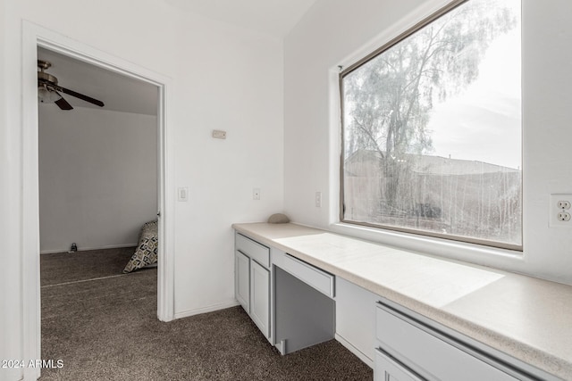 interior space featuring ceiling fan