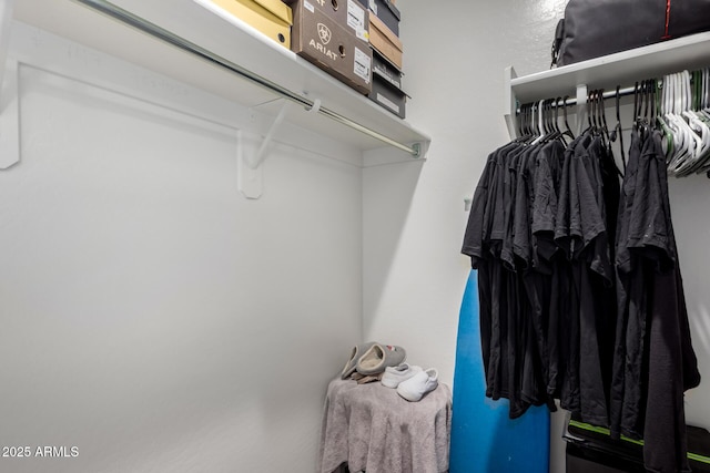 36454 W Picasso St, Maricopa, AZ 85138 - view of walk in closet