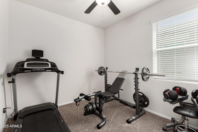36454 W Picasso St, Maricopa, AZ 85138 - exercise room with ceiling fan, baseboards, and carpet floors