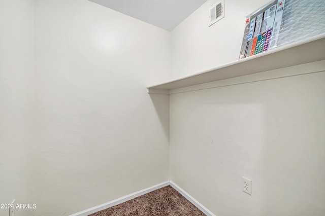 walk in closet featuring carpet