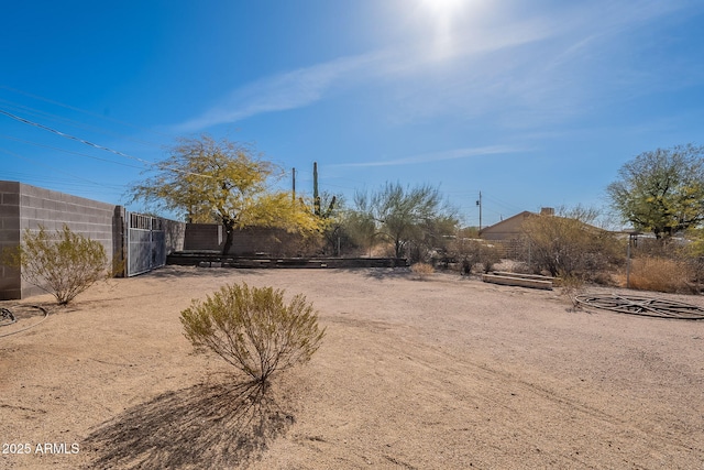532 N 102nd Pl, Mesa, AZ 85207 - view of yard