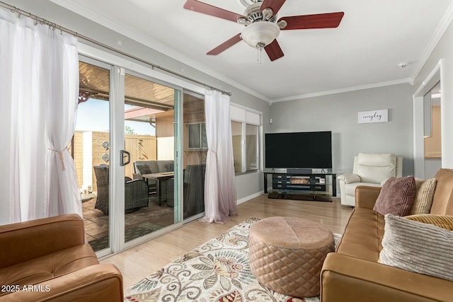 living room featuring ceiling fan, ornamental molding, and light wood-type flooring