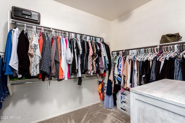 spacious closet with carpet