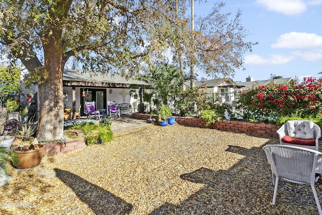 view of yard featuring a patio